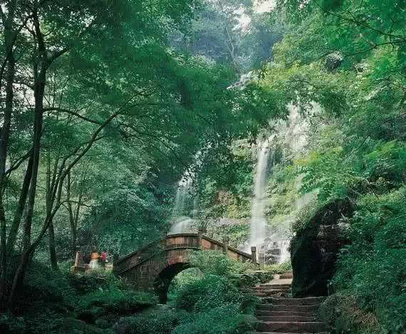 春雨直播app